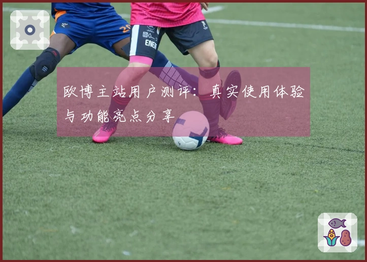 欧博主站用户测评：真实使用体验与功能亮点分享