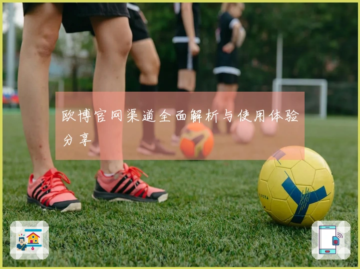 欧博官网渠道全面解析与使用体验分享