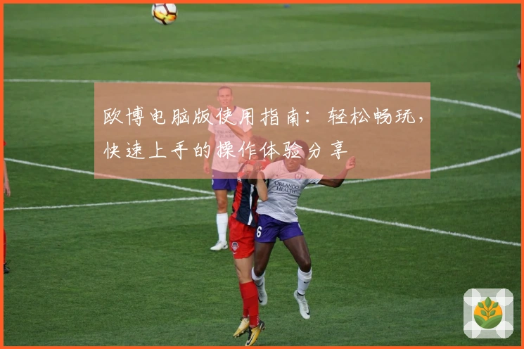 欧博电脑版使用指南：轻松畅玩，快速上手的操作体验分享